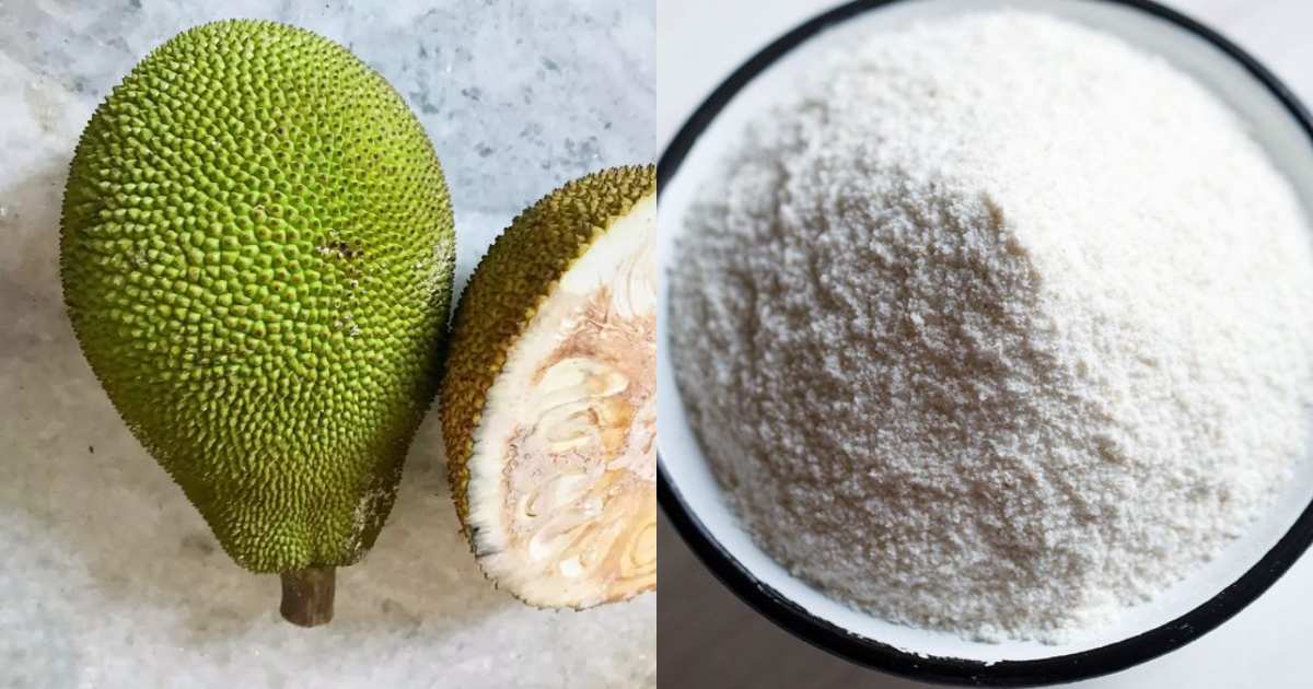 Jackfruit powder recipe