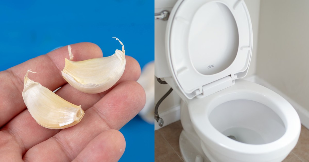 Garlic Toilet Tips