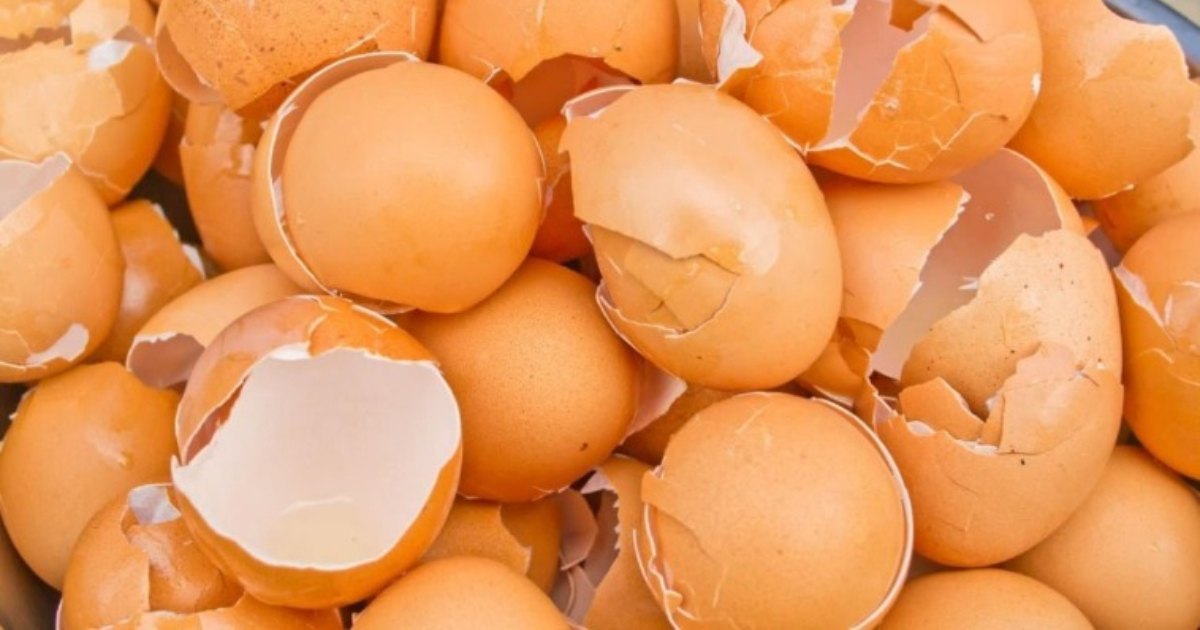 Egg shell uses in kitchen