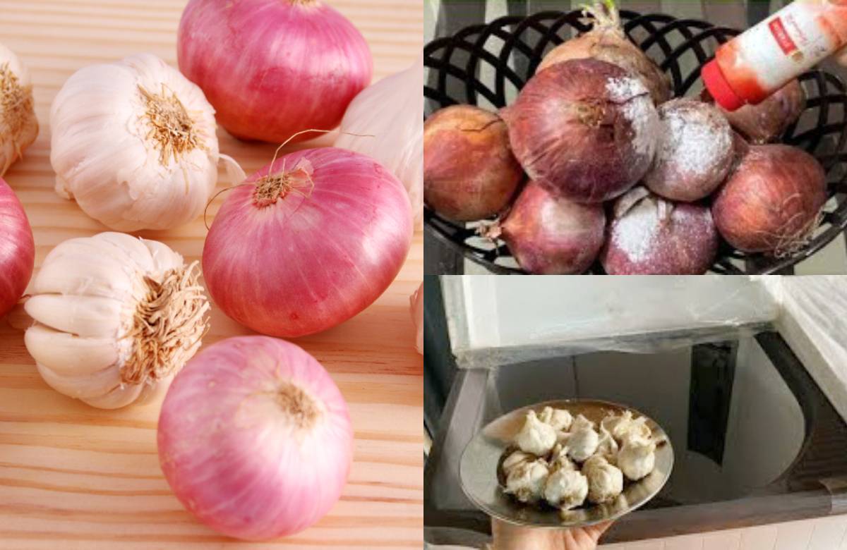 Onion Garlic Tips