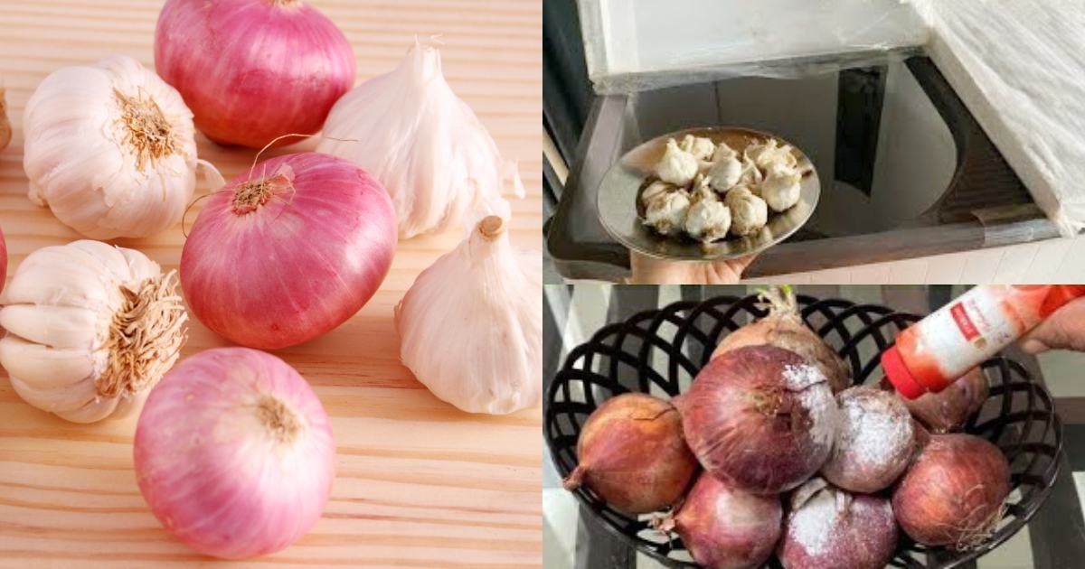 Onion Garlic Tips