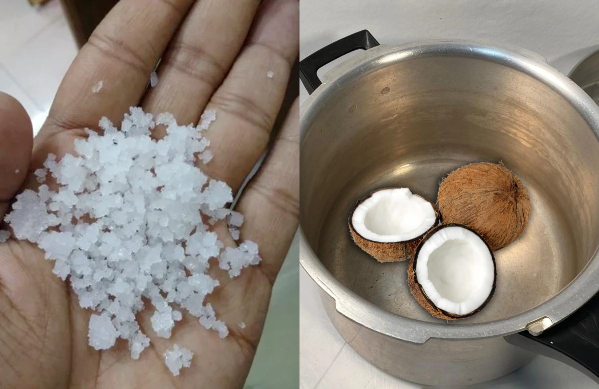 Making Coconut oil using Stone Salt