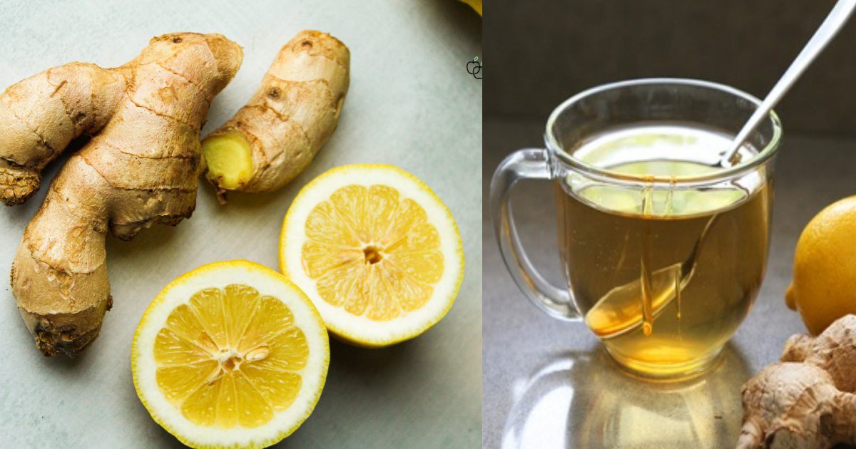 ginger-tea-benifits