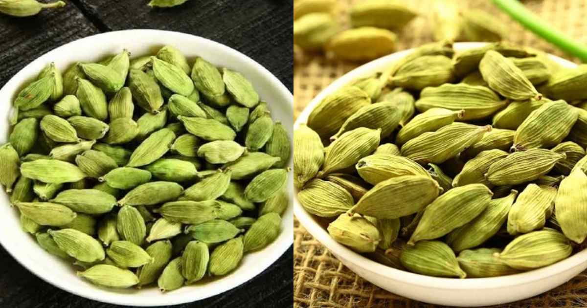 Cardamom Uses and Benefits Malayalam