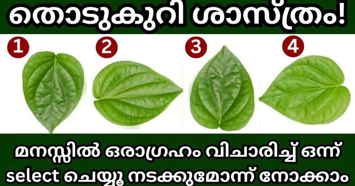 Choose One Betal Leaf Astrology Malayalam