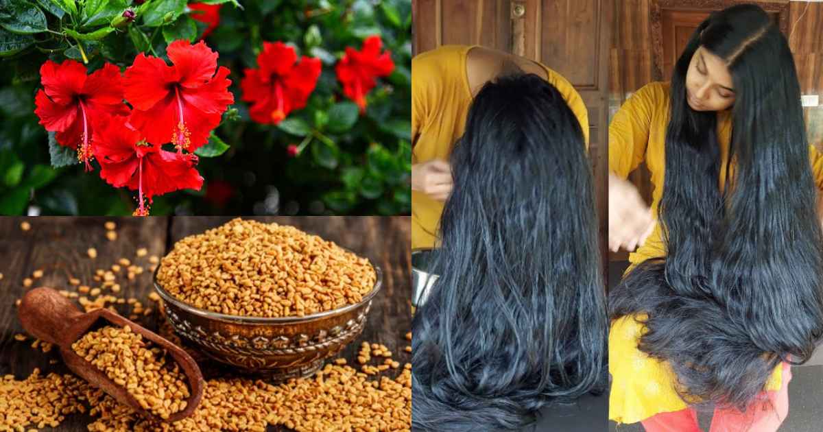 Hair Growth Tip Boiled Fenugreek Water With Hibiscus Malayalam (2)