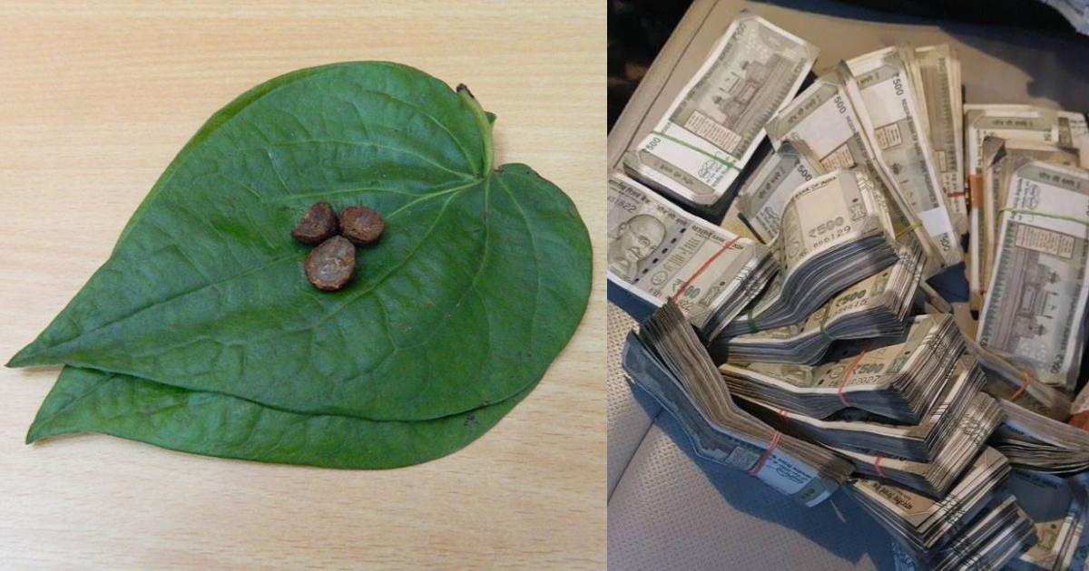 Vettila Leaf Gives Money Astrology