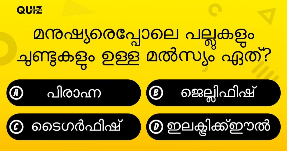 quiz