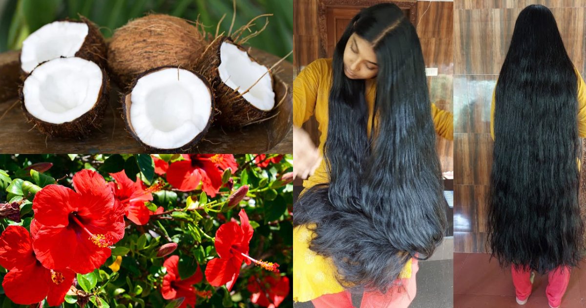 Hair Care Coconut hibiscus Tips Malayalam