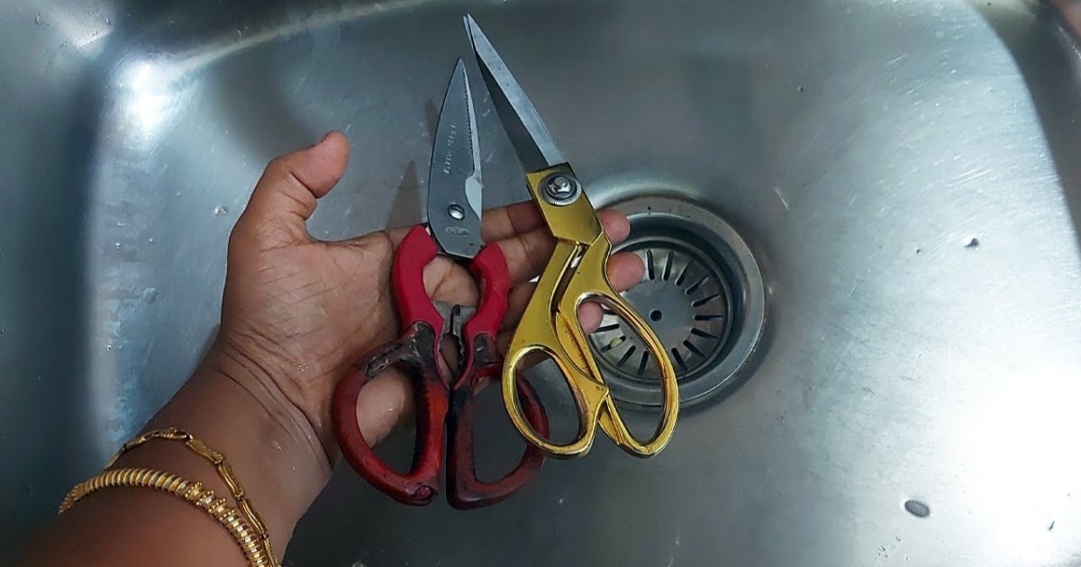 Sink Scissors Tips Malaylam (2)