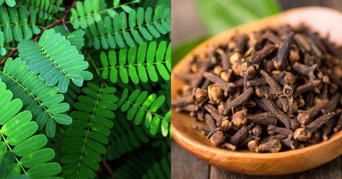 Body pain, Head ache remedy Malayalam