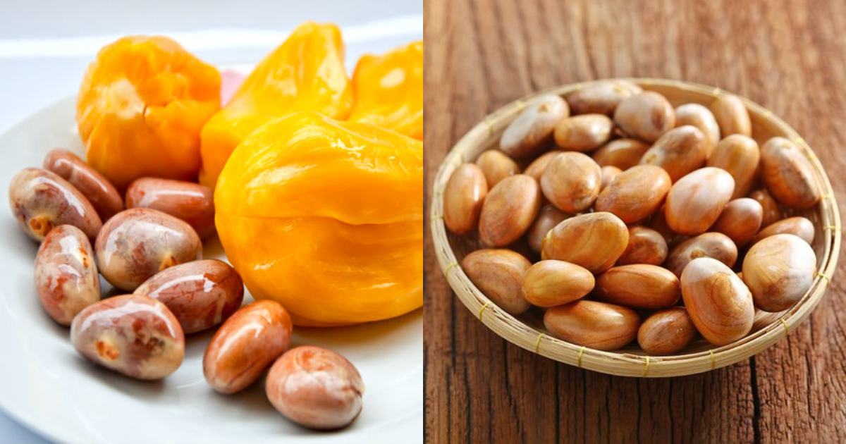 How-to-store-Jackfruit-seeds-1