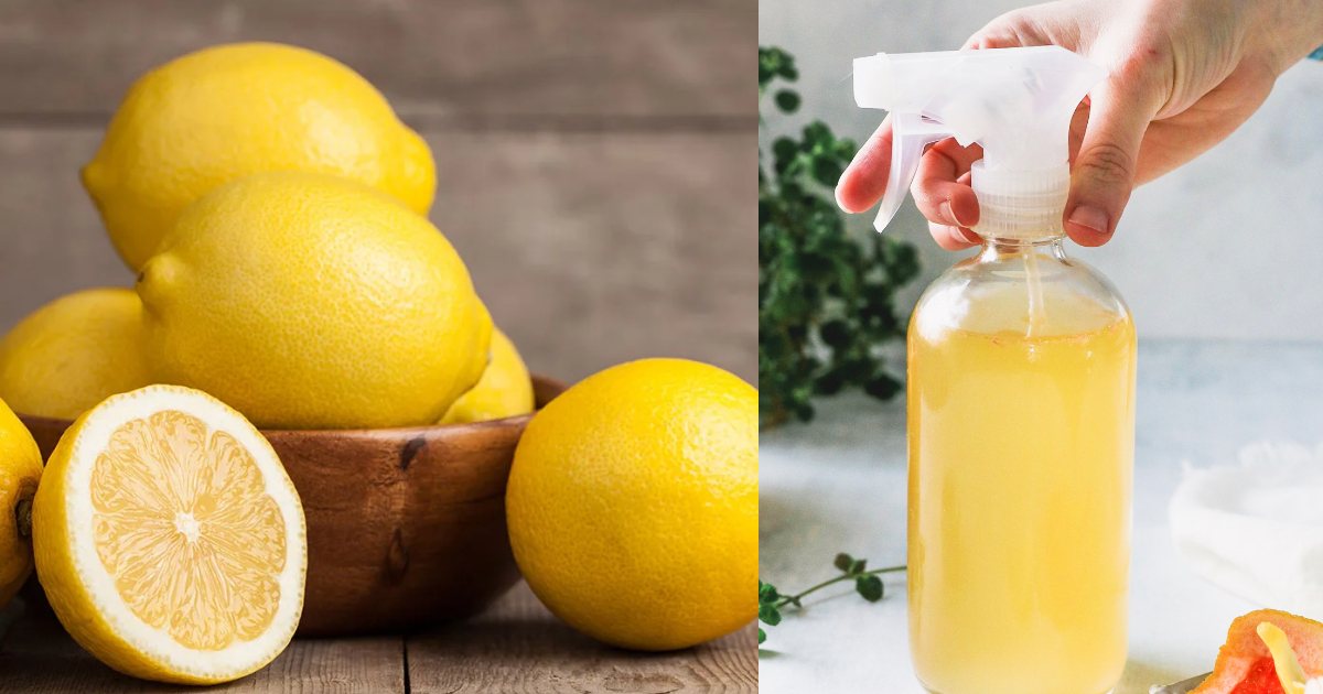 Lemon peel