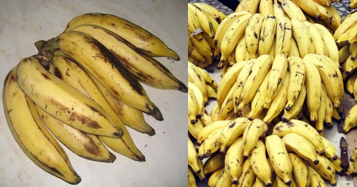 Benefits of eating Banana
