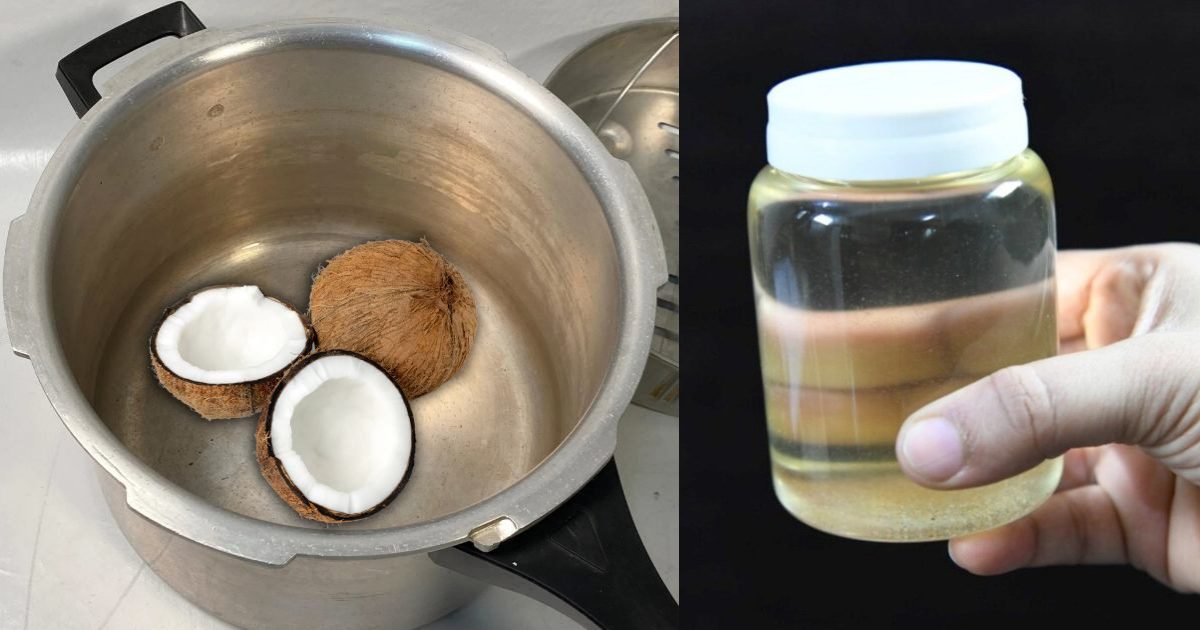 Coconut Oil Making Using Cooker