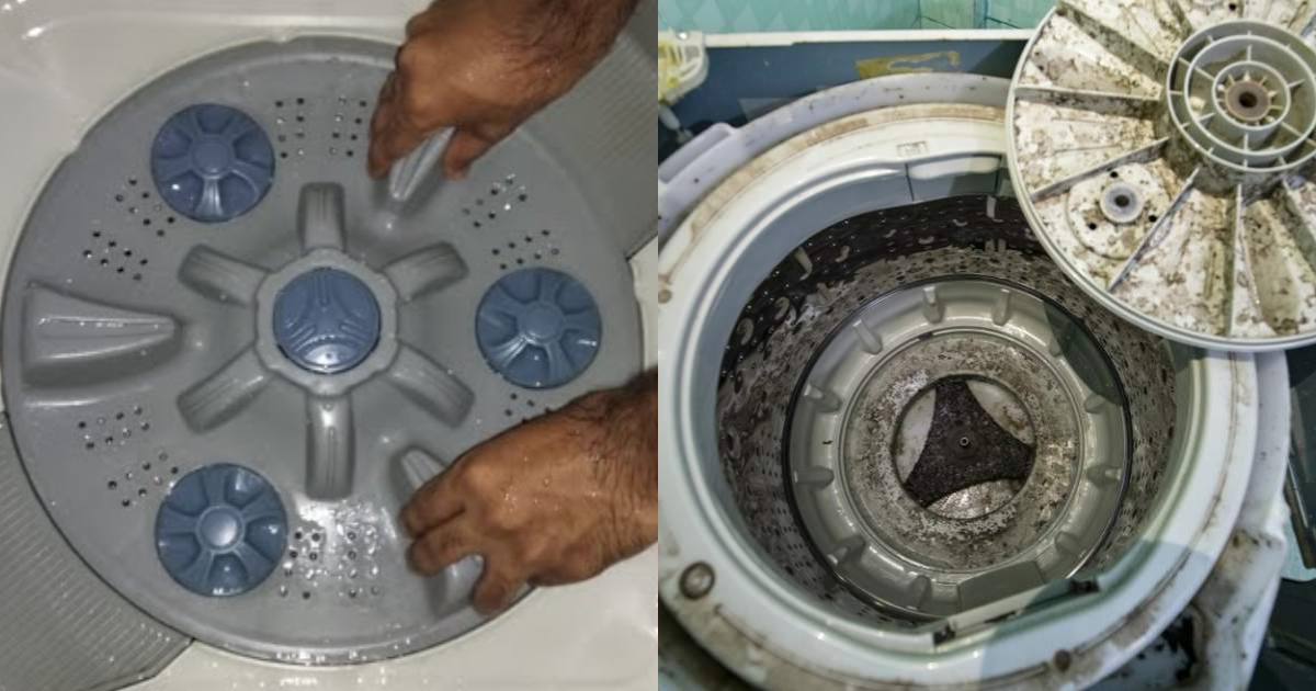 Washing Machine Cleaning Trick